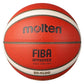 Molten 4500 Premium Composite Basketball - Lynendo Trade Store
